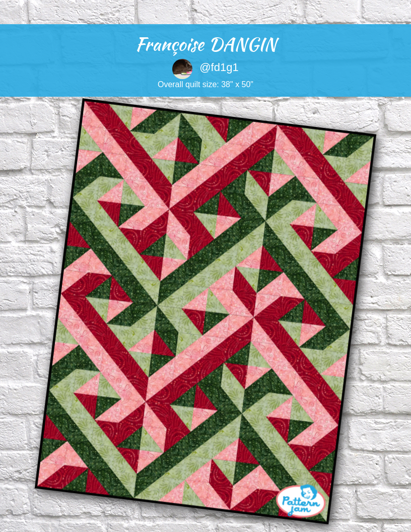 Françoise DANGIN - custom quilt designed by &#64;fd1g1 using PatternJam quilt design software