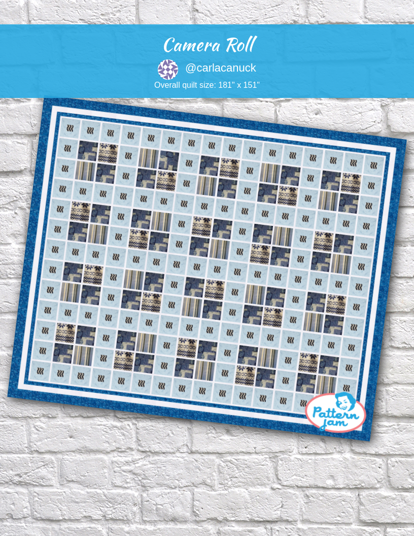 Camera Roll - custom quilt designed by &#64;carlacanuck using PatternJam quilt design software